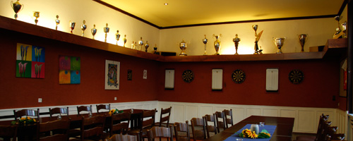 Dart Arena